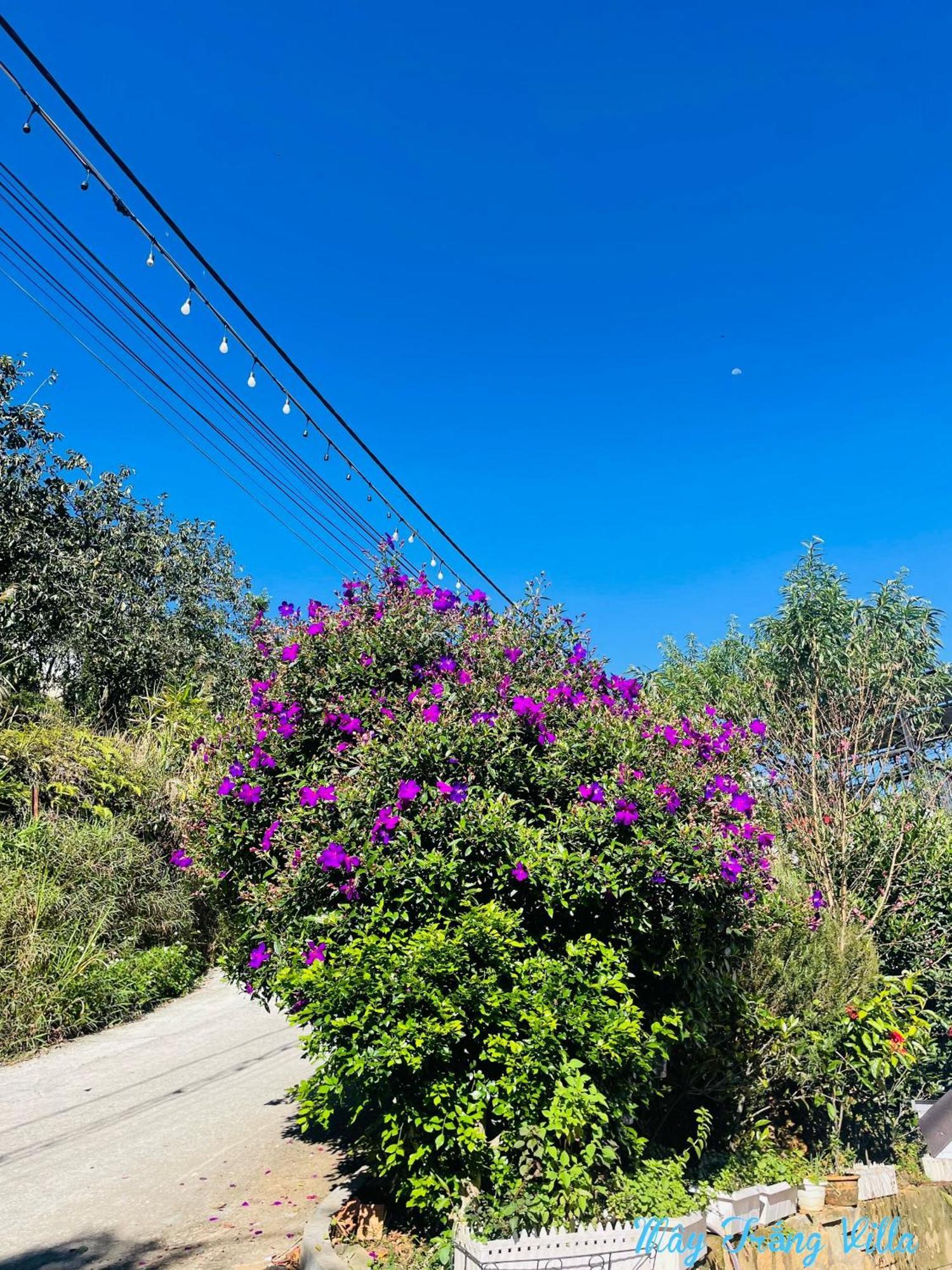 May Trang Villa Da Lat Zewnętrze zdjęcie